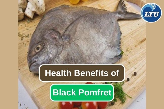 7 Reasons Why Eating Black Pomfret Is Good for Your Health